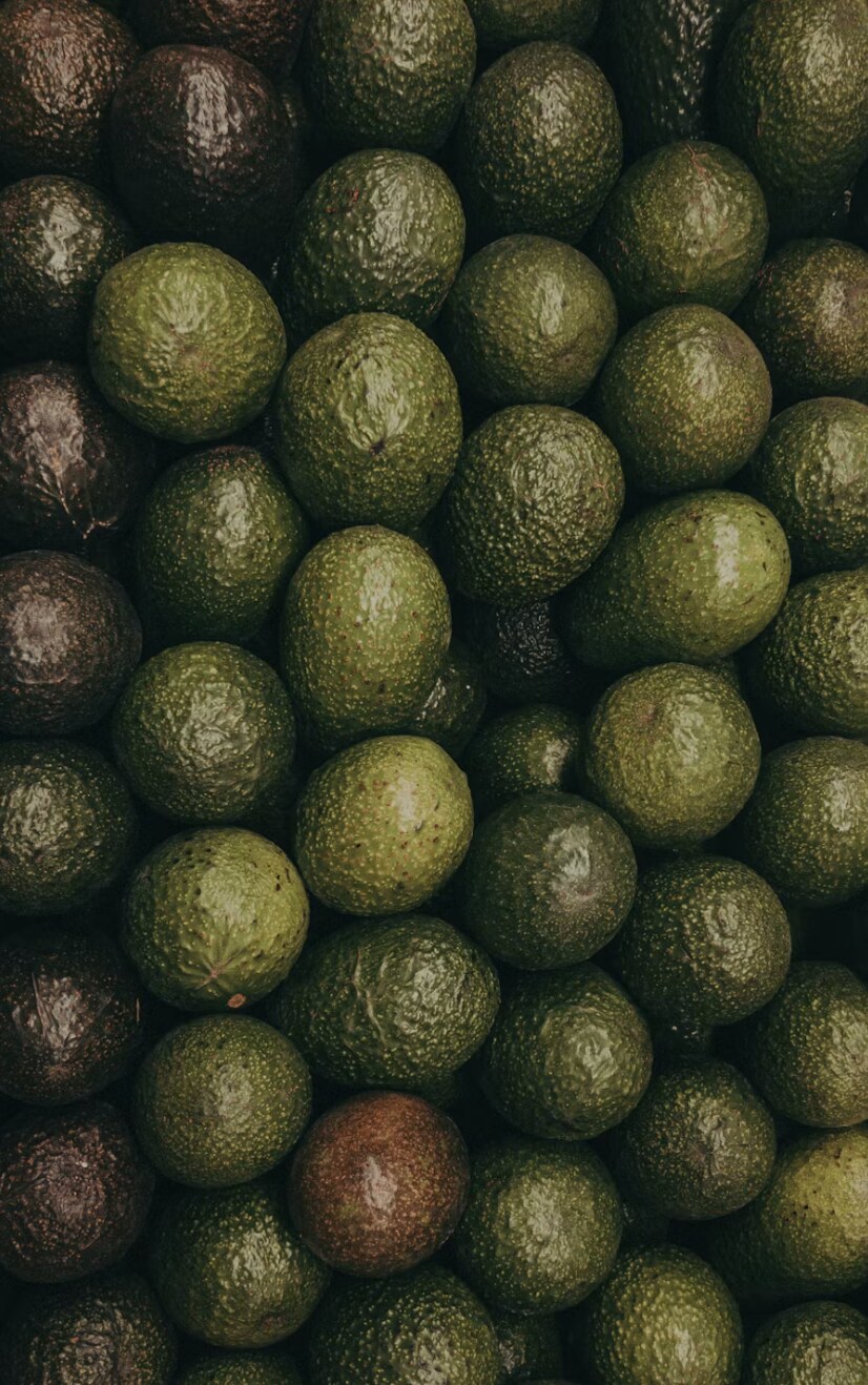 Aguacates de Manolo