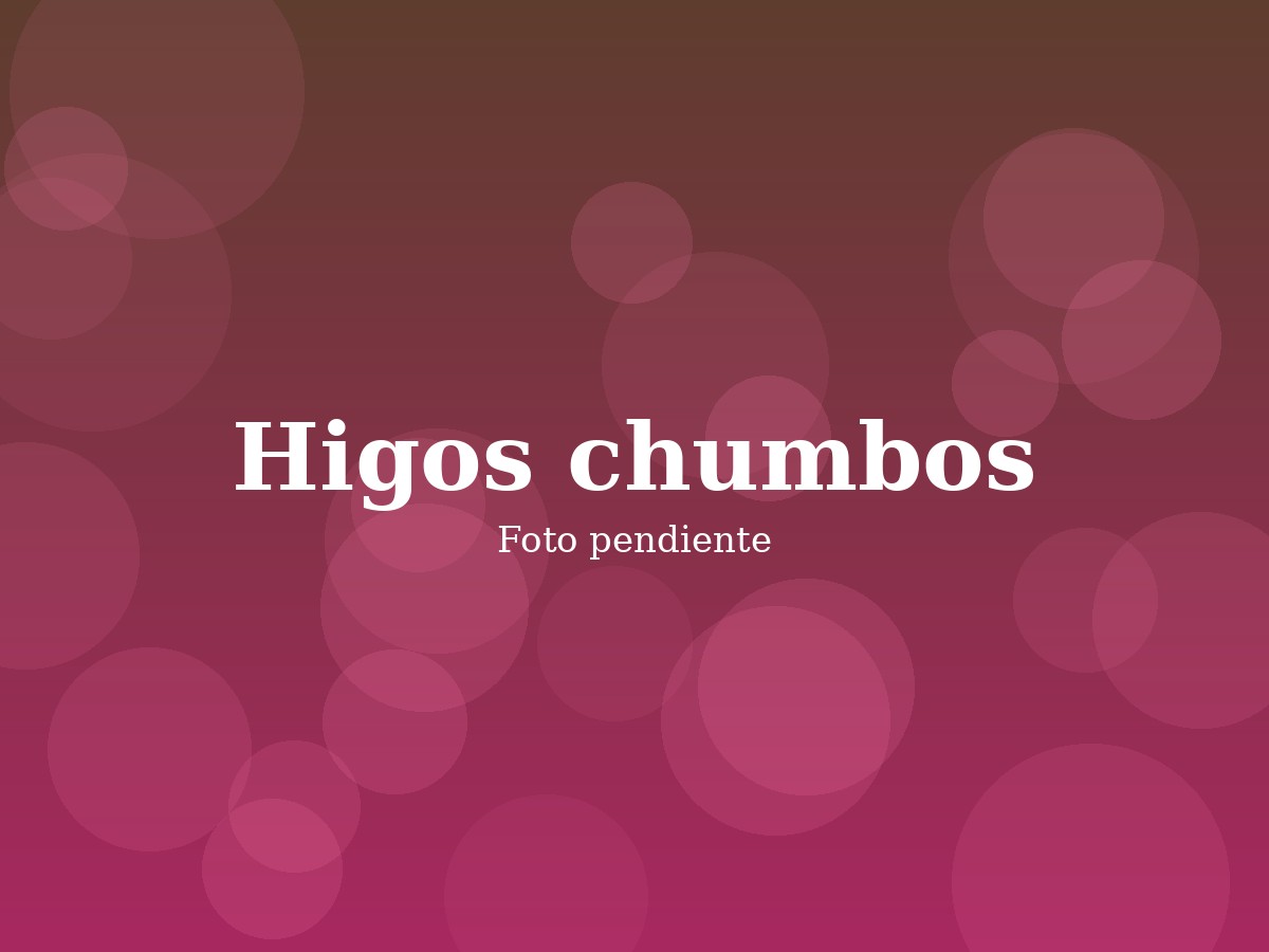 Higos chumbos de Doménech