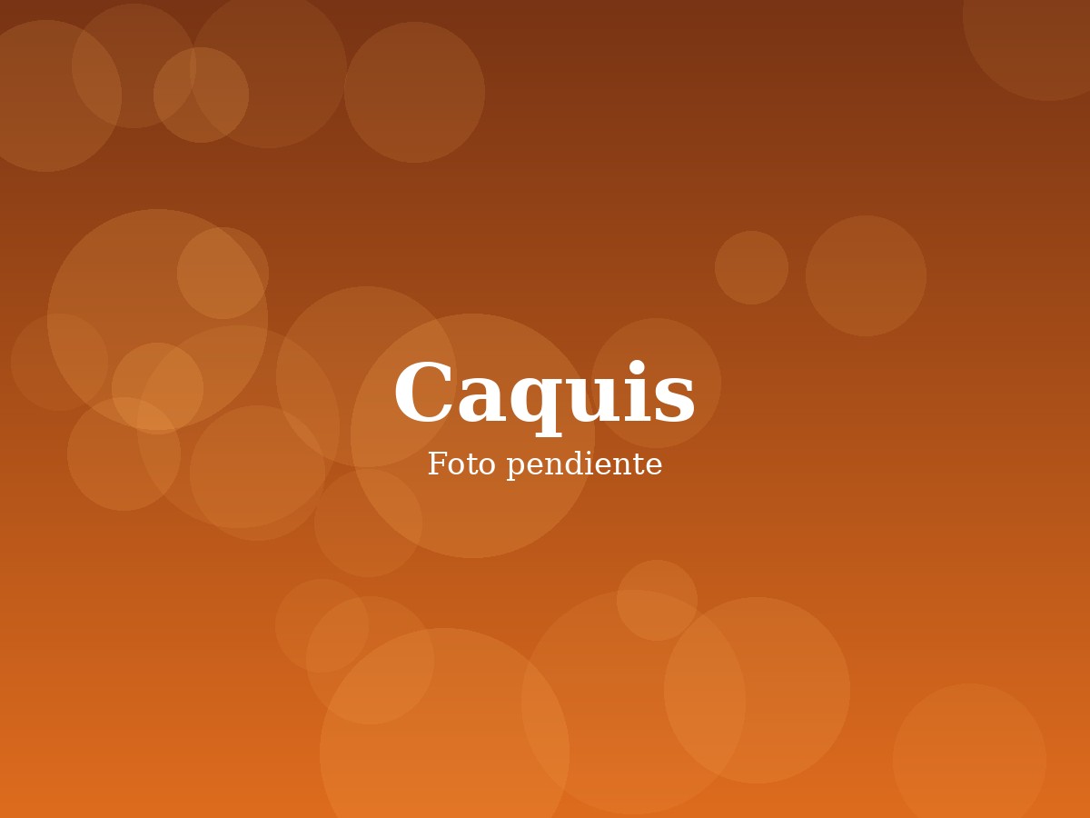 Caquis de Empar